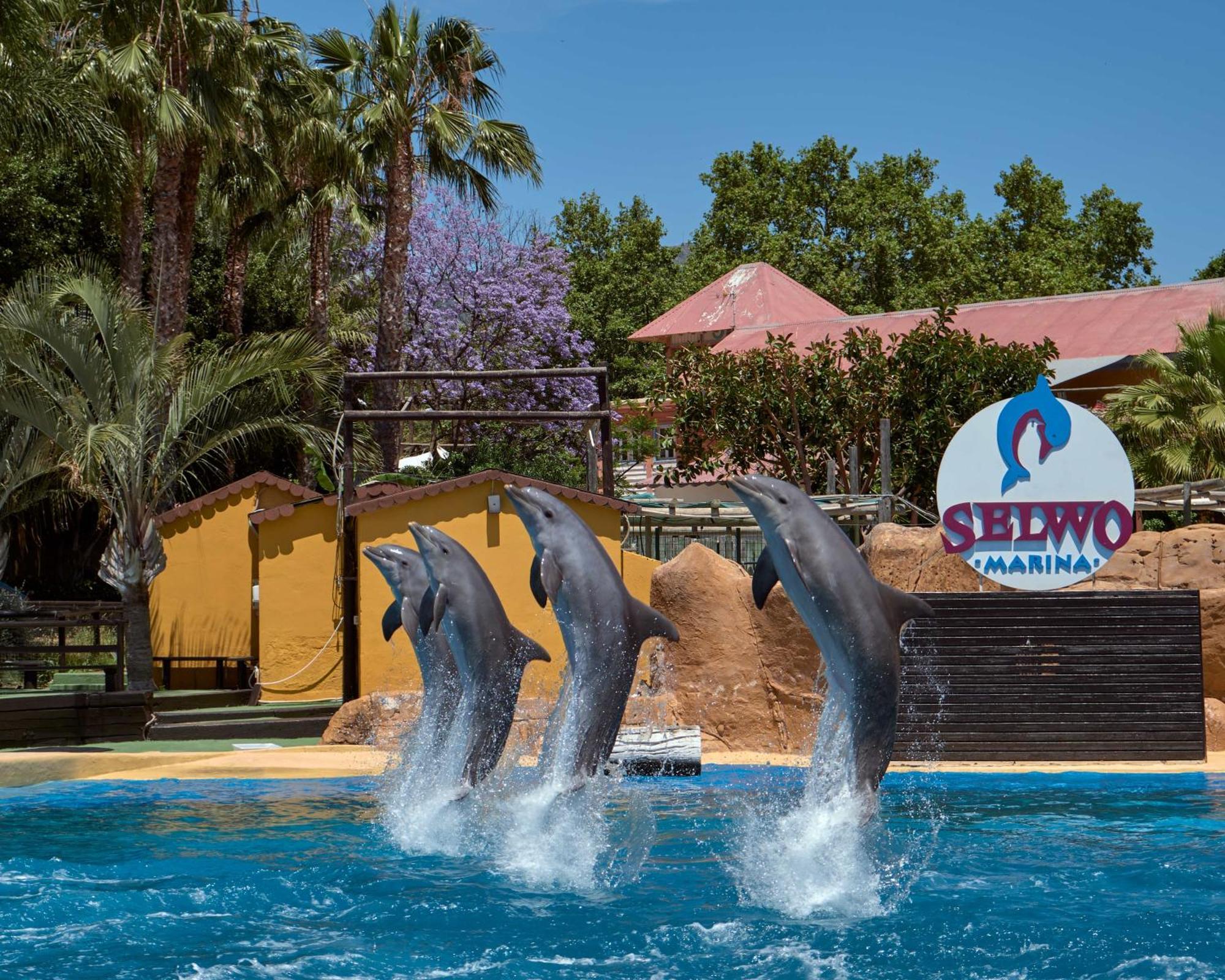 Apart With Swimming Pool Open All Year Benalmádena Εξωτερικό φωτογραφία